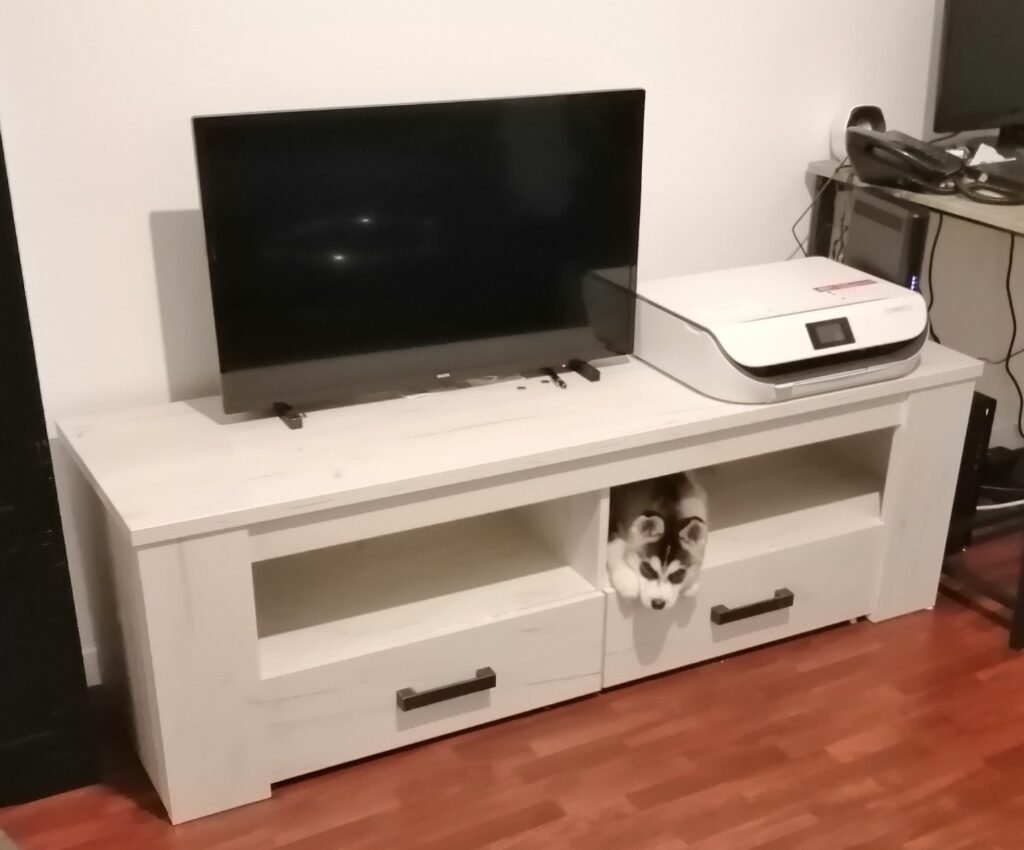 Shadow faisant le pitre